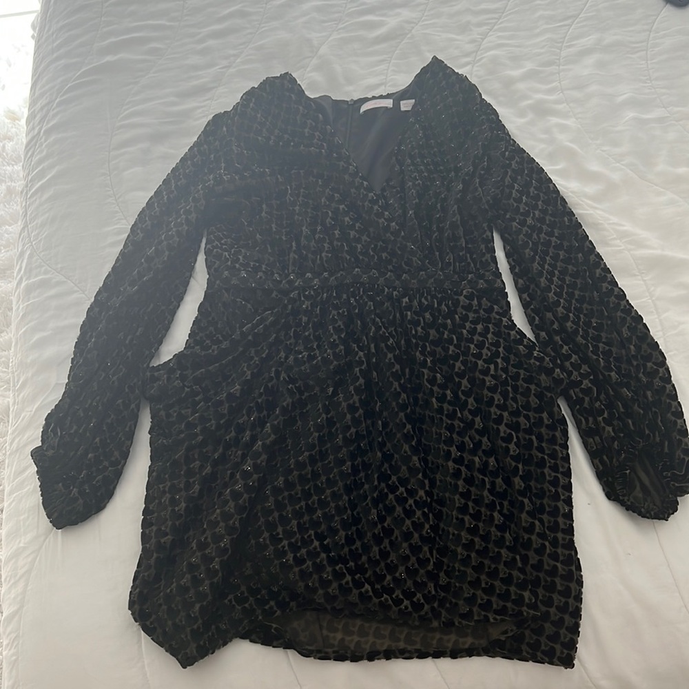 Sass & Bide Black Velvet Dress